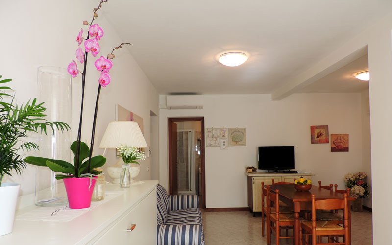 Salon de l'appartement Orchidea